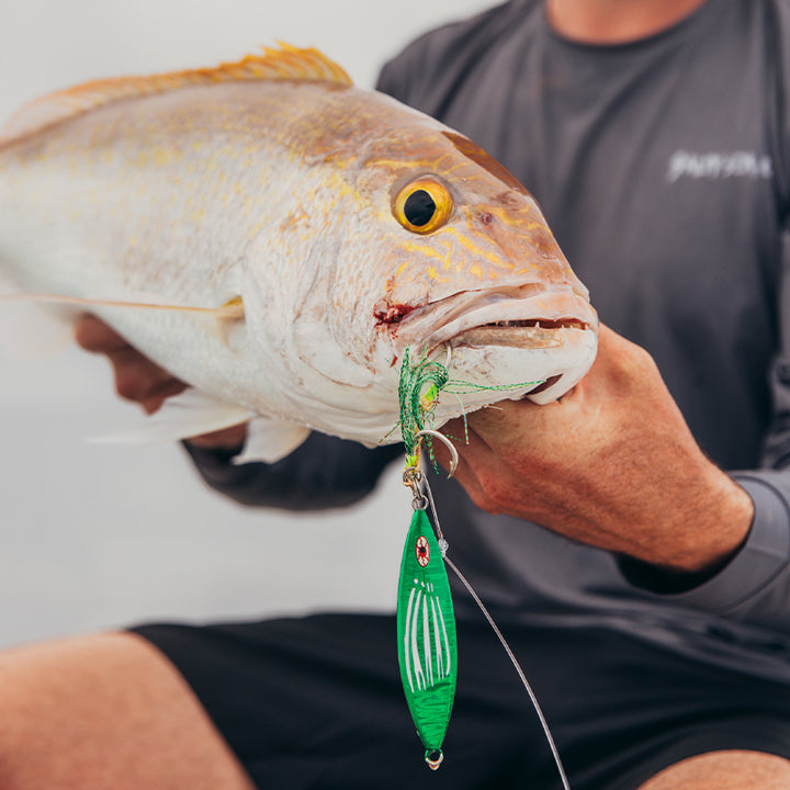 Slow pitch jig for reef fishing