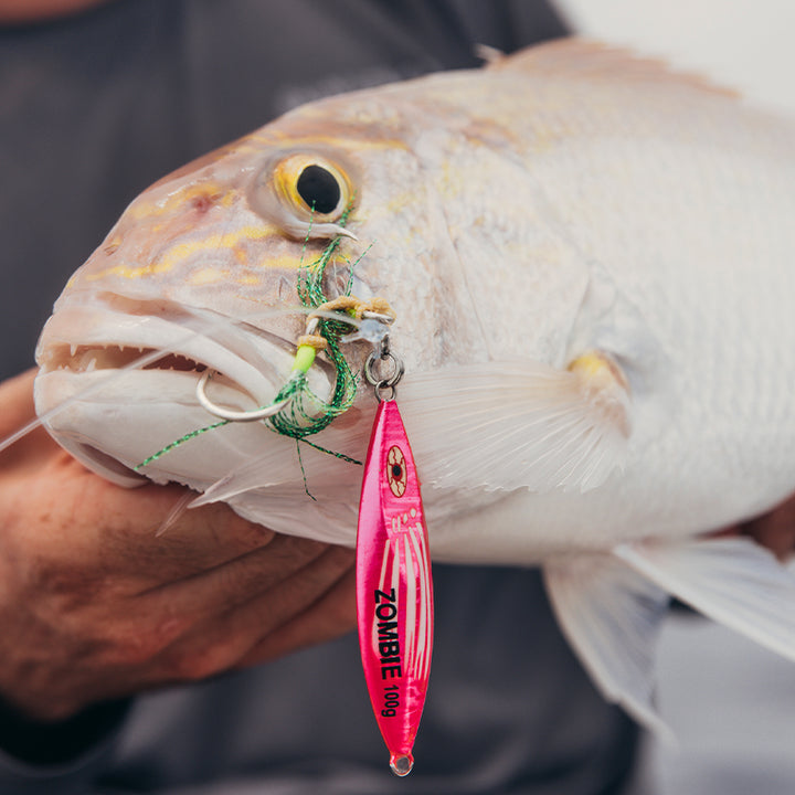 Pink jigs for reef fishing