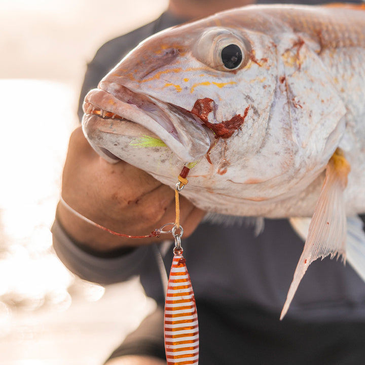 Jigs for snapper